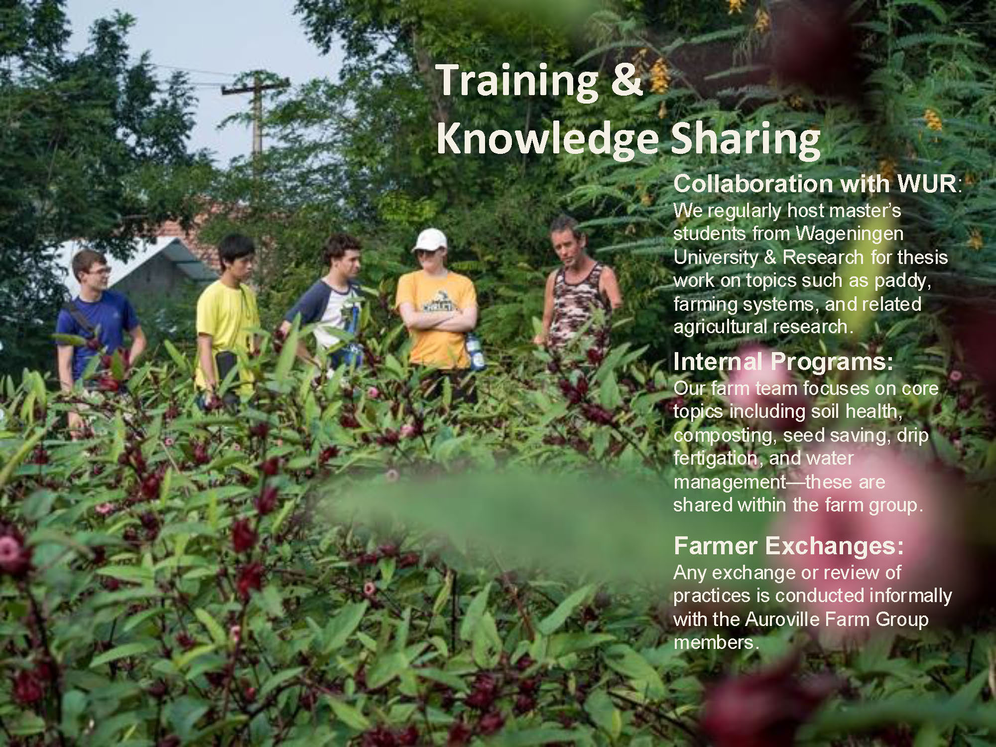 2025.08.19 Annapurna_Farm_Auroville v.5_Page_5