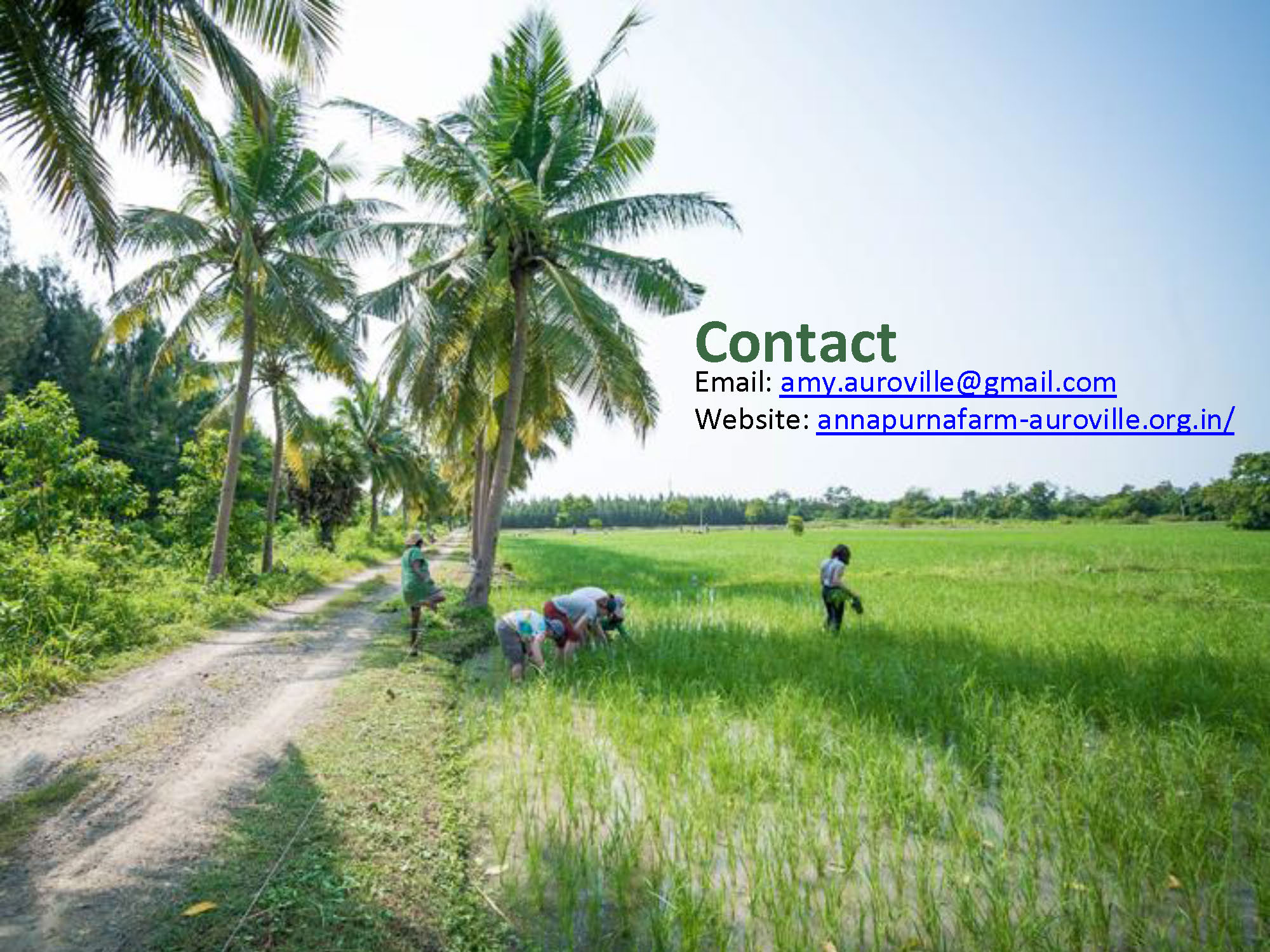 2025.08.19 Annapurna_Farm_Auroville v.5_Page_8